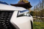 Lexus UX250h F-Sport Engawa 2019 года (ES)